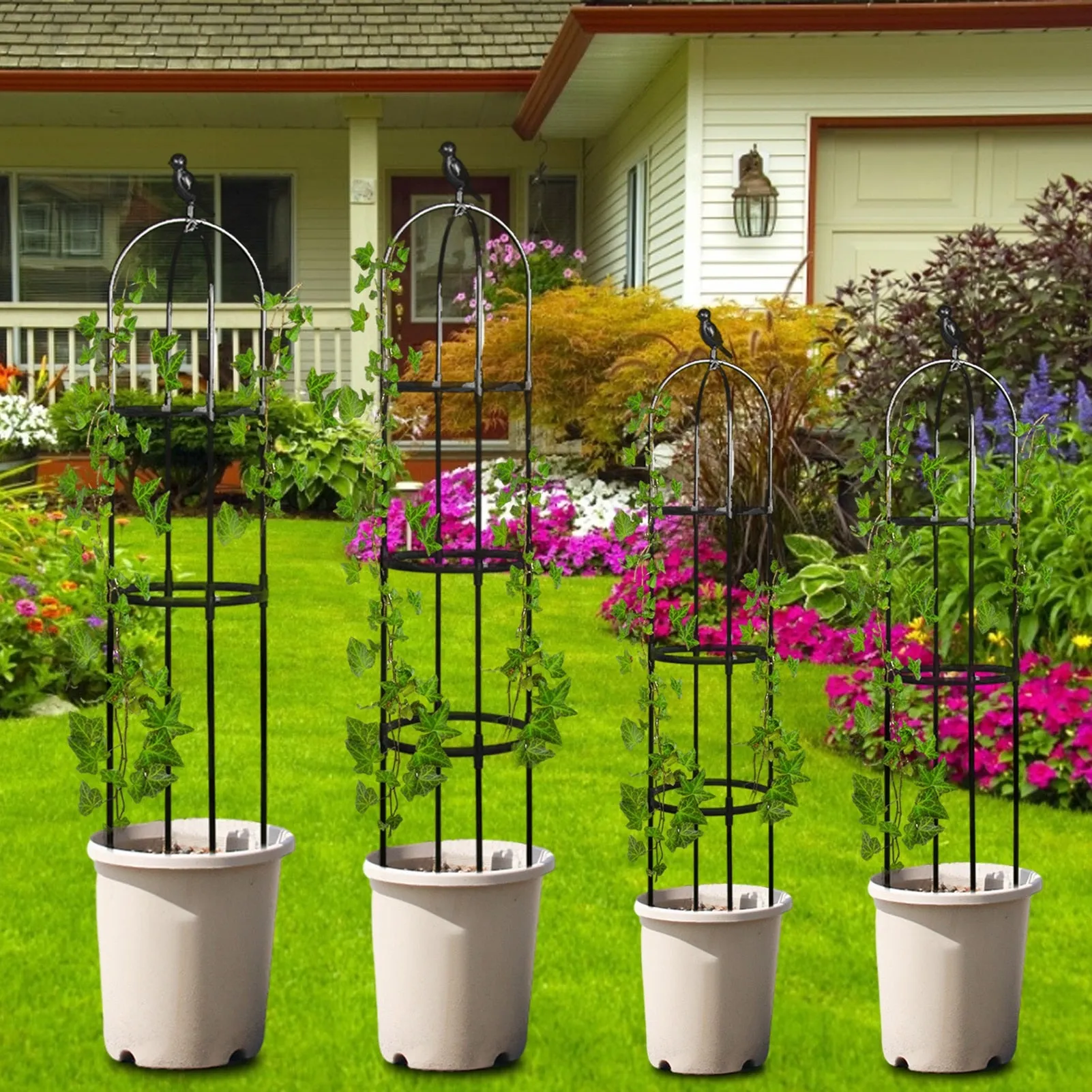 Splicing Plant Climbing Frame