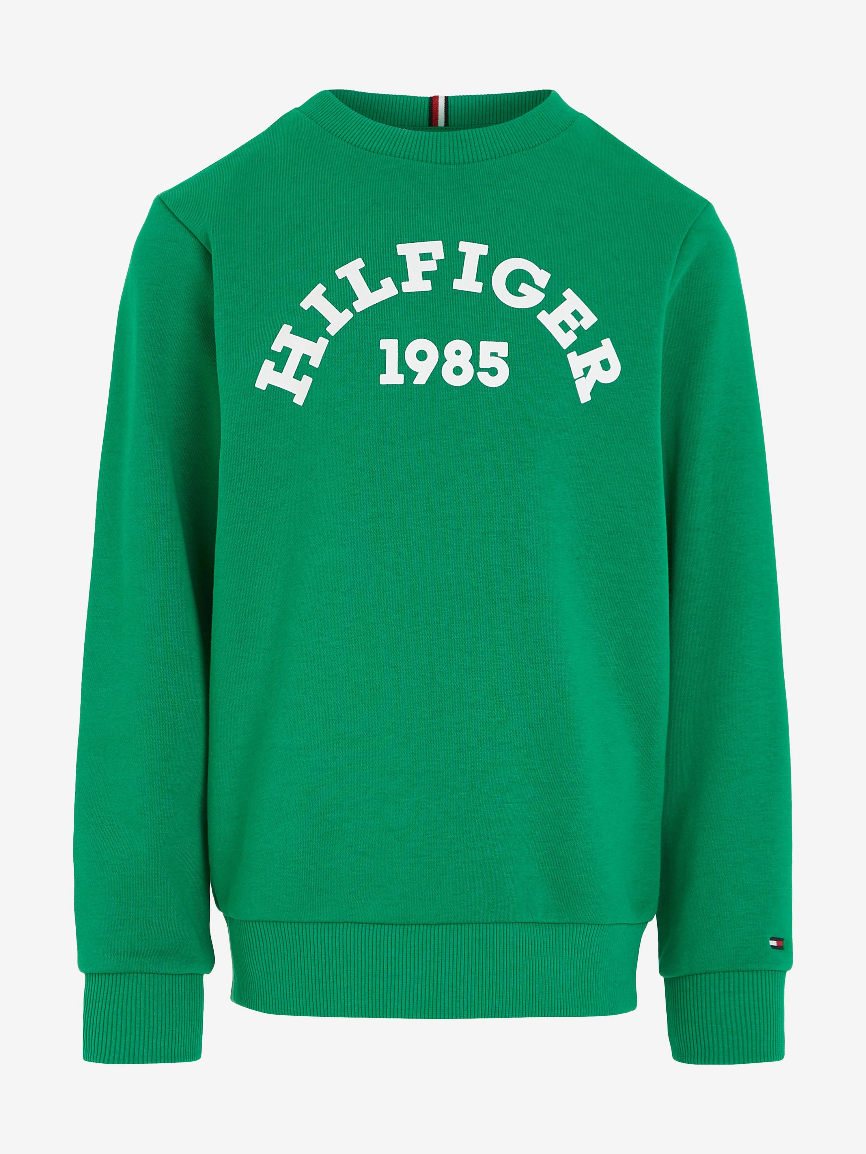 Tommy Hilfiger Boys 1985 Logo Sweatshirt in Green