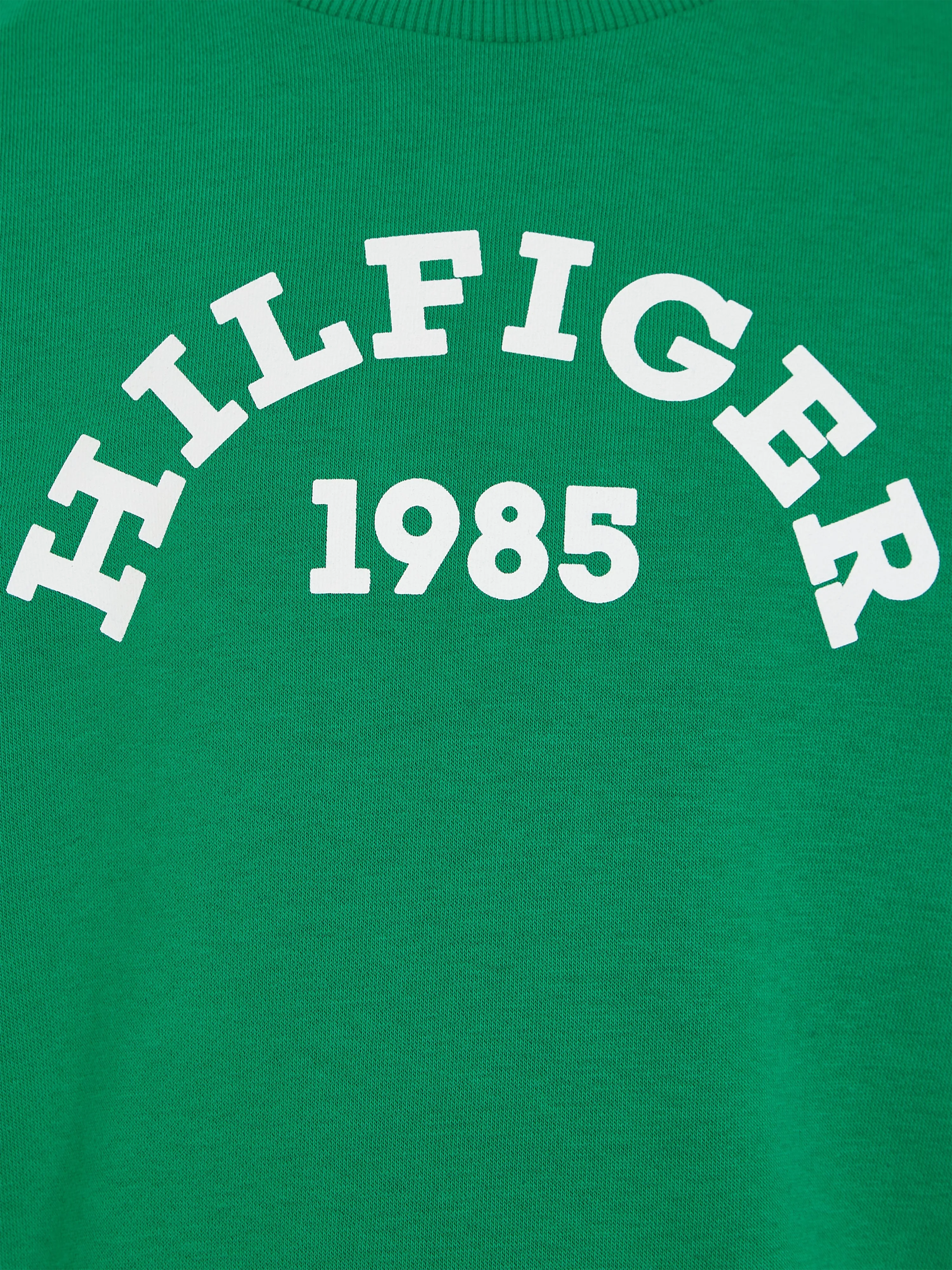 Tommy Hilfiger Boys 1985 Logo Sweatshirt in Green